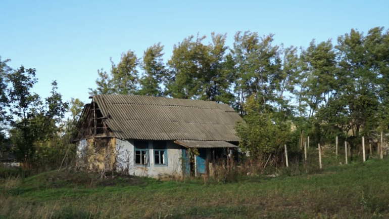 image (2)